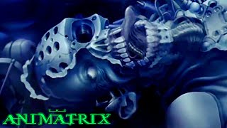 The Disturbing Matrix AnimeThe Animatrix [upl. by Einuj754]