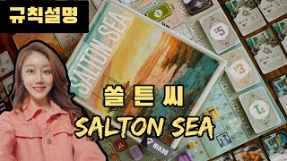 솔튼씨 보드게임 규칙설명 amp 2인플 영상  How to play Salton sea Board game [upl. by Neufer]