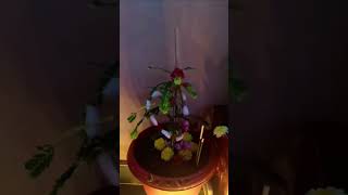 Karthika masam usri chettu Pooja vidhanam [upl. by Blaise935]