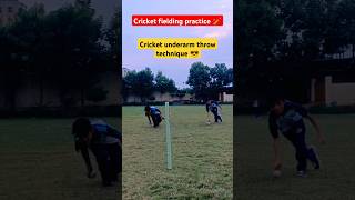 cricket fielding practice cricket cricketfieldingdrills cricketcatchpractice trending shorts ❣️ [upl. by Areis]