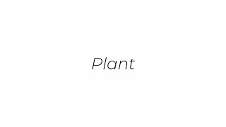 Tutorial Plant [upl. by Tareyn]