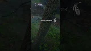 MOCCASIN FLOWER ORCHID  RDR2 shorts shortvideo reddeadredemption [upl. by Rostand]