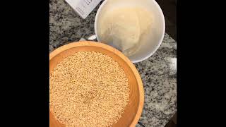 Our Grain Mill has Finally Arrived  Unboxing Our Mill  Making a Test Run with Einkorn Berries [upl. by Robbyn]