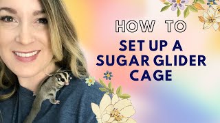 How to Set Up a Sugar Glider Cage [upl. by Olga742]