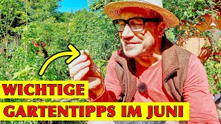 Der SelbstversorgerGarten im Juni Mit Hühnern Puten Hochbeeten und vielen Gartentipps [upl. by Rosati61]