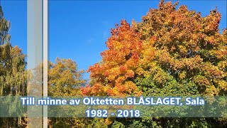 Oktetten Blåslaget Sala [upl. by Iturk249]