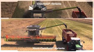 Das Clearfield®System – Eindrücke bei der Ernte [upl. by Lunn]