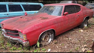 1971 Chevelle SITTING For 20ish Years  Will It Run NNKH [upl. by Tomasz]