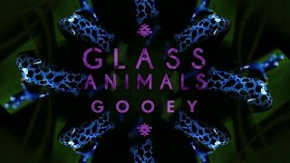 Glass Animals  quotGooeyquot Live Jungle Slang  Audio [upl. by Aratehs]