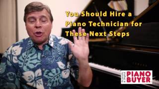 Piano Buyer How to Find the Serial Number of Your Piano [upl. by Tyre497]