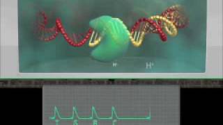 Ion Torrent Chemistry [upl. by Meehan]