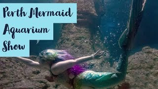 The Perth Mermaids at the Aquarium of Western Australia [upl. by Linkoski]