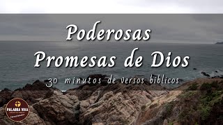 Promesas de Dios que cambiarán tu vida  30 min de versículos bíblicos para motivarte  La Biblia [upl. by Ardelia659]