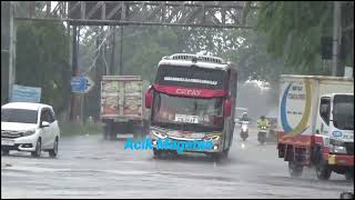 Bus Eka Cepat Tujuan Solo Yogyakarta erminal Maospati Magetan [upl. by Ydderf924]