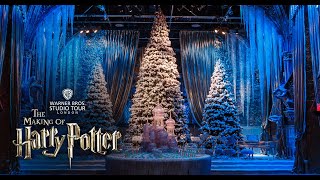 Creating the Yule Ball  Warner Bros Studio Tour London [upl. by Hcab637]