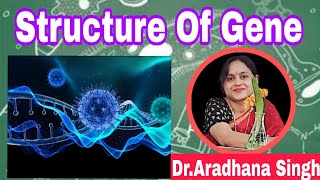 Fine structure of geneprocess of Transcription [upl. by Adnarahs]