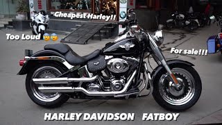 Preowned Harley Davidson Fatboy 2015  For SALE  Cheapest Harley in South Delhi  ALL ABOUT BIKES [upl. by Kalk]