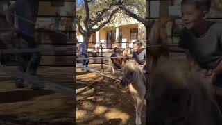 Stockyard Fort Worth Texas Stockyard Toddler Ponyride [upl. by Aicat]