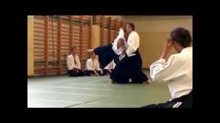 Matti Joensuu 6 dan Aikido seminar Balaton 2014 [upl. by Dopp]