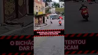 Ladrão com moto roubada tentou dar fuga no sargento da Rocam pinotes rocam pm rota fuga [upl. by Atnoved483]