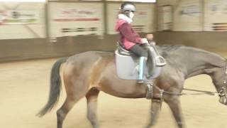 Bielefeld Reitverein Reitschule  Voltigierverein Vilsendorf eV [upl. by Zeuqram]