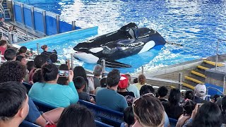 Sea World San Antonio Orca Killer Whales 3 [upl. by Janiuszck]