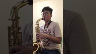 Careless Whisper  Alto Saxophone Cover [upl. by Burkhard]