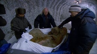 The Perfectly Preserved Frozen Yuka Mammoth Mummy  Woolly Mammoth Secrets from the Ice  BBC Two [upl. by Myna]