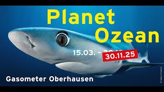 quotPlanet Ozeanquot Ausstellungstrailer  Verlängerung bis 30112025 [upl. by Valentijn310]