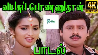 Vayasu Ponnuthan வயசு பொண்ணுதான் KSChitra Love H D Song [upl. by Zitella]