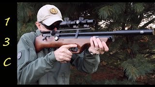 Hatsan FlashPup PCP Air Rifle Review and Accuracy testing [upl. by Aela92]