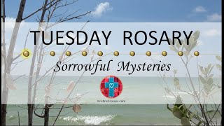 Tuesday Rosary • Sorrowful Mysteries of the Rosary 💜 August 15 2023 VIRTUAL ROSARY  MEDITATION [upl. by Matty149]