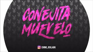 CONEJITA MUEVELO ✘ DJ CHINO AYALA [upl. by Airotcivairam]