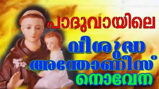 വിശുദ്ധ അന്തോണീസ് പുണ്യവാളന്ടെ നൊവേനSt Antonys Novena  StAntonys Relic Pilgrim CentreKottayam [upl. by Cira]