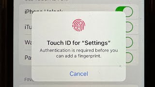 Touch ID Not Working Authentication is Required before you can add a Fingerprint error on iPhone [upl. by Odilo356]