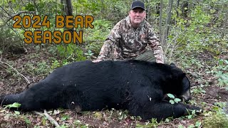 467lb Wisconsin Black Bear [upl. by Sybley]