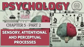 Sensory Attentional amp Perceptual Processes  Chapter 5  Class 11  Lec 2  Psychology [upl. by Yekcir936]