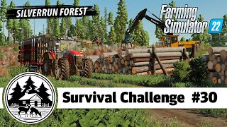 MADE A MILLION BUCKS FROM WOOD  Platinum Edition  Farming Simulator 22  Survival Challenge [upl. by Ahsrat598]