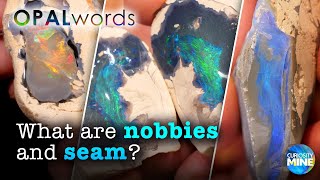 Nobbies amp Seam Opal Forms  OpalWords  Lightning Ridge [upl. by Marashio]