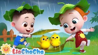 Baby Animals Play in the Rain  Rain Rain Go Away  Kids Songs amp Nursery Rhymes  LiaChaCha [upl. by Larena559]