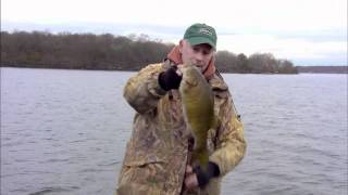 Lipless Crankbaits for Smallmouth Bass [upl. by Ettennan]