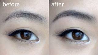 Basics Perfect Brows Tutorial [upl. by Manuel]