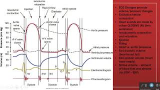 Cardiac Valves and Pressures [upl. by Annaiv280]