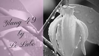 Fragrance Review Ylang 49 by Le Labo [upl. by Ahselrak922]