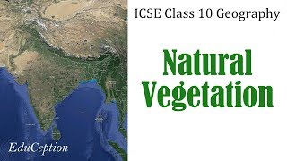 NATURAL VEGETATION  ICSE Class 10 Geography [upl. by Eanert]