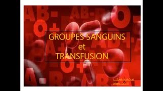 HEMATOLOGIE GROUPES SANGUINS et TRANSFUSION [upl. by Renba]