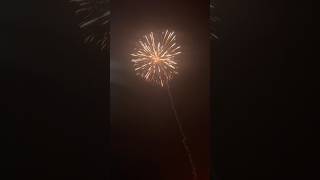 Epic firework [upl. by Rennerb]