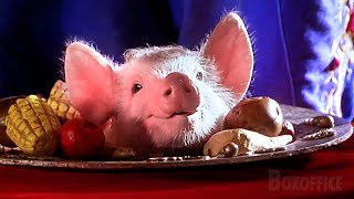 Ein Zaubertrick mit einem kleinen Schweinchen  German Deutsch Clip [upl. by Sible130]