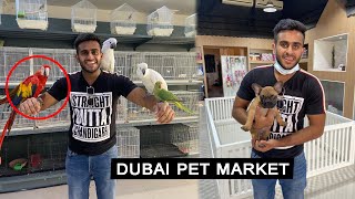 International Pet amp Dog market Dubai [upl. by Riane181]