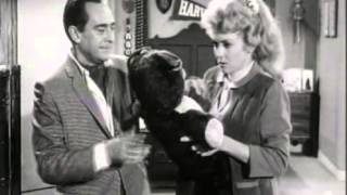 The Beverly Hillbillies  Season 1 Episode 11 1962  Elly Races Jethrine  Paul Henning [upl. by Stockton]